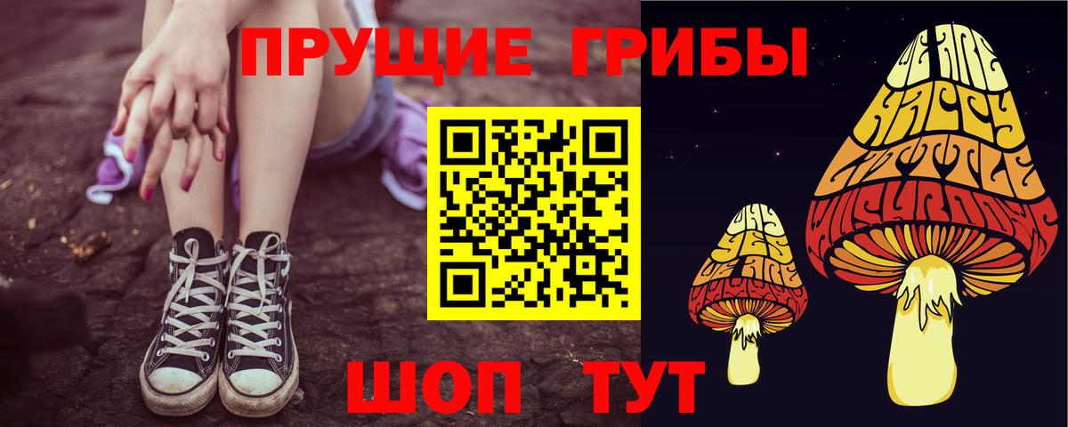 Галлюциногенные грибы мицелий  Вход с VPN  Междуреченск 