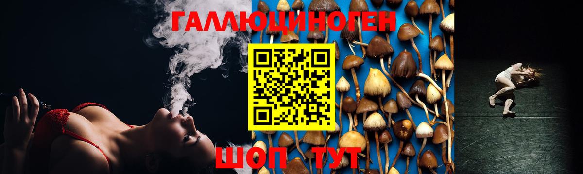 Псилоцибиновые грибы ЛСД Междуреченск